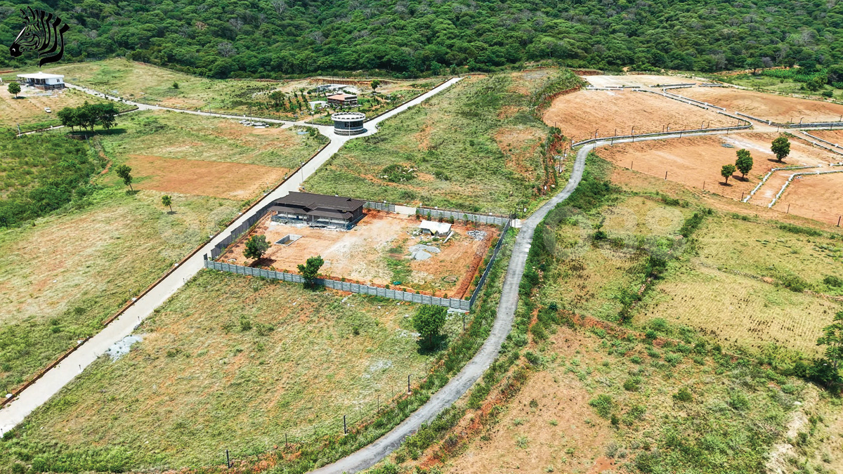 safari farms in velliangadu